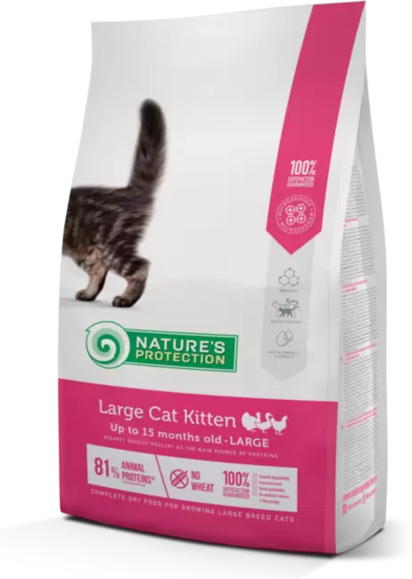 Nature's Protection Large cat Kitten - Сухой корм для котят крупных пород