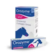 Ecuphar Orozyme (Орозим) Высокоэффективный гель для борьбы с проблемами зубов и десен, 70 мл + Орозим полоски М