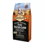 Carnilove Fresh Ostrich and Lamb for Small Breeds (30/17) - Сухой корм для собак мелких пород, с мясом страуса и ягненка