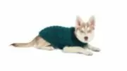 GF Pet Black Diamond Sweater Green