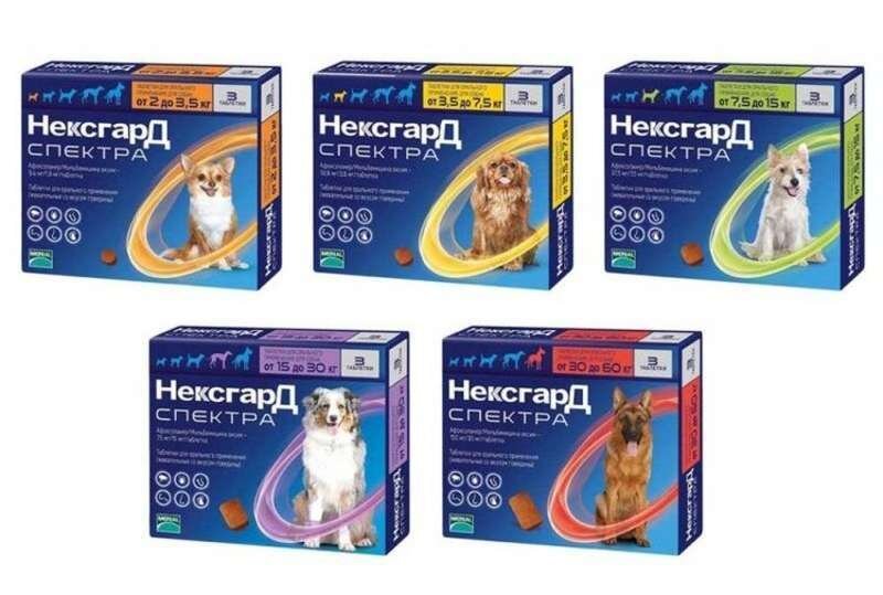 nexgard spectra neksgard spektra tabletki protiv bloh kleshej i gelmintov cena za 3 tab kupit sredstvo ot kleshej dlya sobak v kieve i ukraine s dostavkoj v internet magazine zootovarov zoomapa com ua
