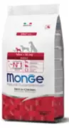 Monge Dog Mini Adult - Корм с курицей и рисом для взрослых собак мелких пород