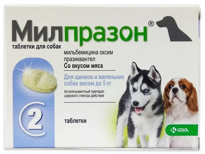 противоглистные препараты для собак мелких пород