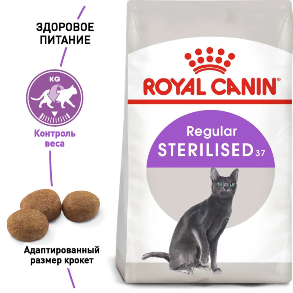 Корм Royal Canin для кастрированных котов - купить корм для стерилизованных  кошек Роял Канин в Киеве и Украине, цена на корм для кошек в интернет  магазин зоотоваров Zoomapa