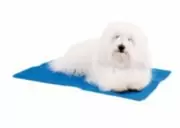 Show Tech Cool Mat Охлаждающий коврик для собак 30х40