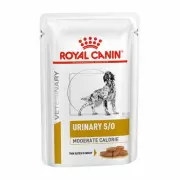  Royal Canin Urinary S/O Moderate Calorie Dog Pouch Slices in Gravy - Влажный ветеринарный корм для собак при заболеваниях нижних мочевыводящих путей 100 г х 12 шт 
