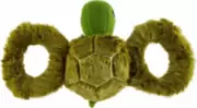 Jolly Pets Tug-A-Mal Turtle Dog Toy - Игрушка-пищалка Черепаха для перетягивания