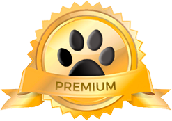 premium-feed